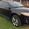 Tinted Tinted