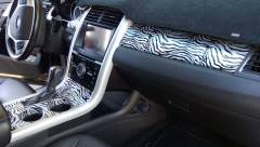 More information about "Hydrodipped interior!"