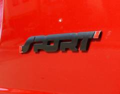 Blacked Out Sport Emblem