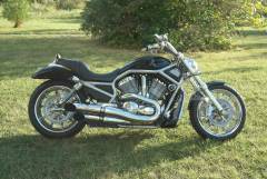 2006 Harley Davidson V-rod