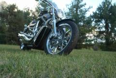 2006 Harley Davidson V-rod