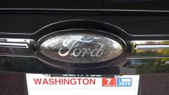 Custom Ford Emblem