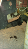 post-28445-0-00510800-1399857366_thumb.png