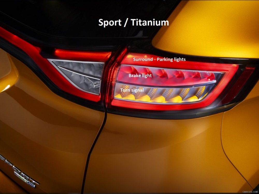 Sport Taillight.jpg
