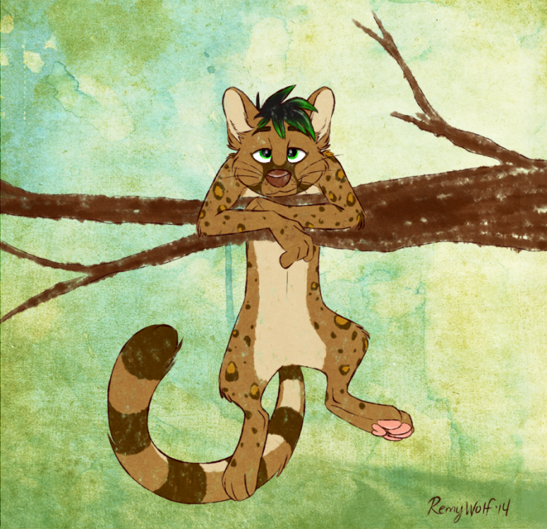 Hanging out on a limb.png
