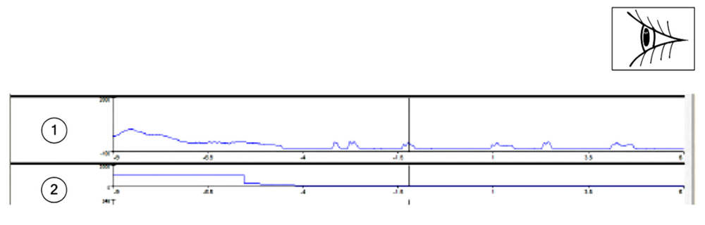 image.thumb.png.9b66481cf63235d79b63ac710968d942.png
