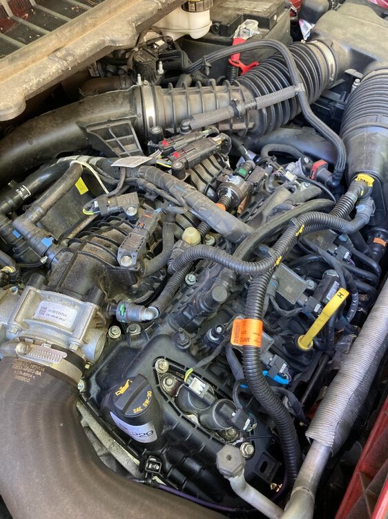 underhood.jpg