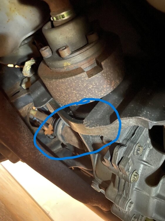 rear diff.jpg